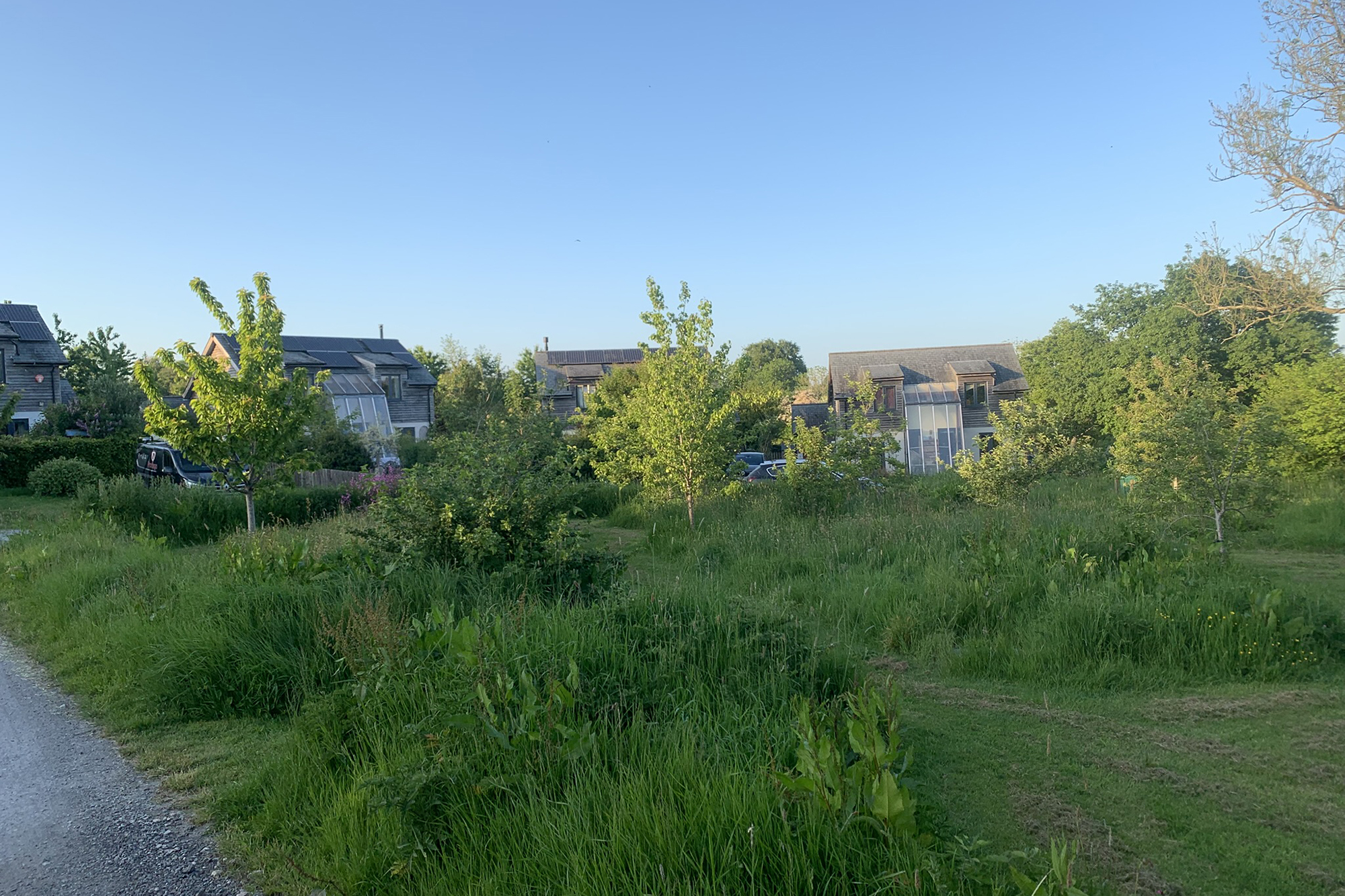 Broadhempston CLT Landscape architects Broadhempston CLT Landscape architects